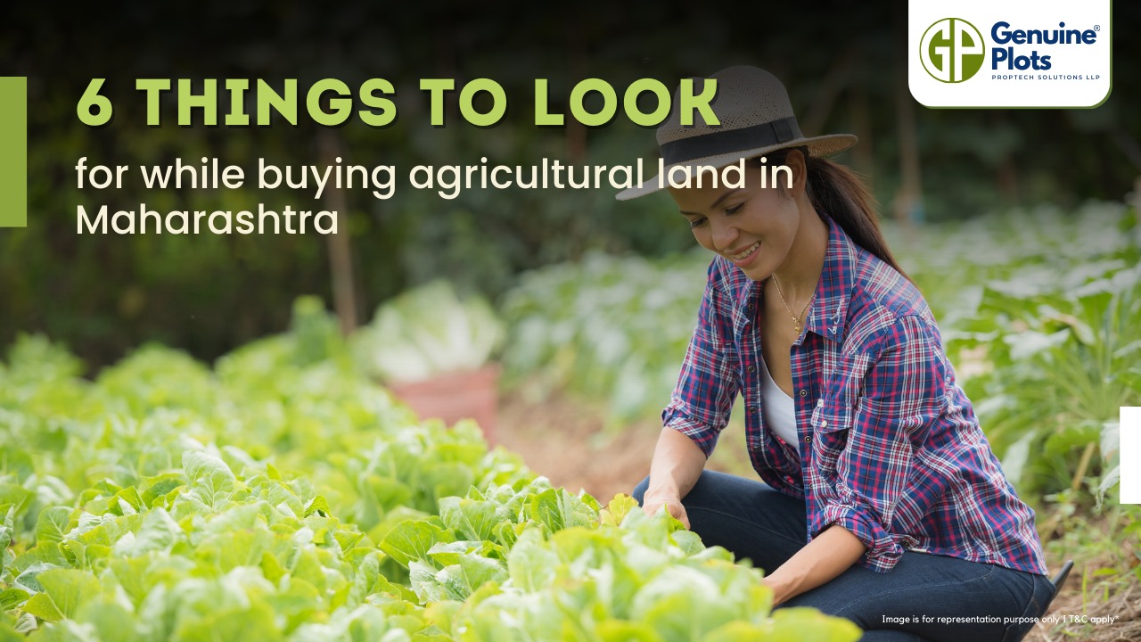 6 Things to look for while buying agricultural land in Maharashtra